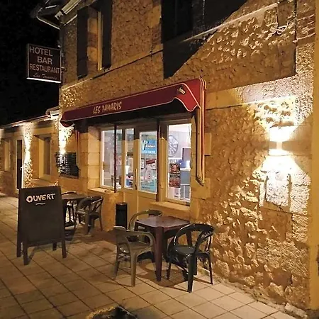 Hotel Les Tamaris 2*
