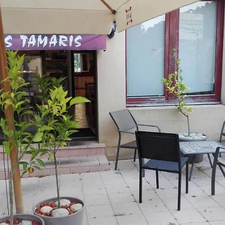 Hotel Les Tamaris 3*